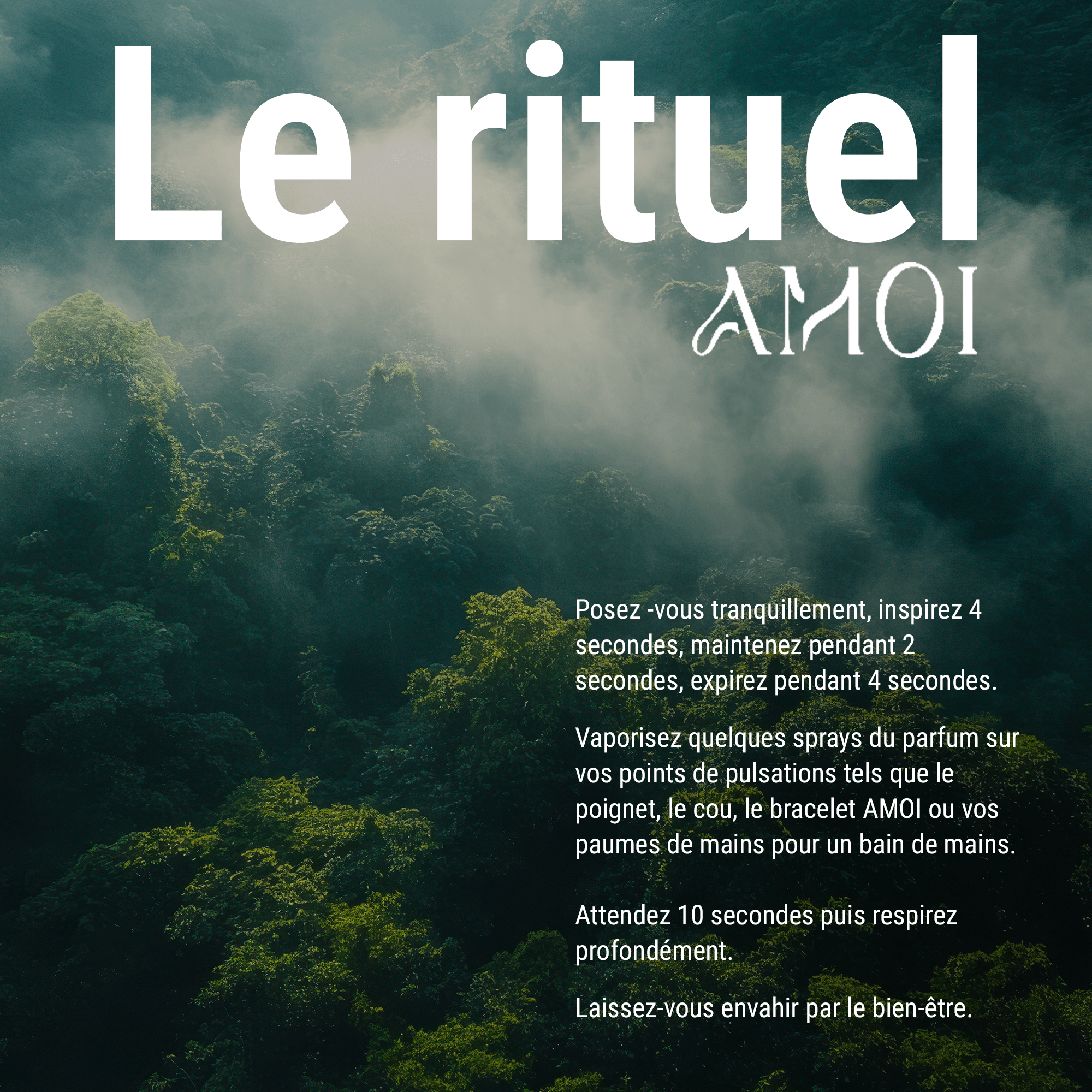 LE POUVOIR DU FLOW - CONCENTRATION Parfum AMOI